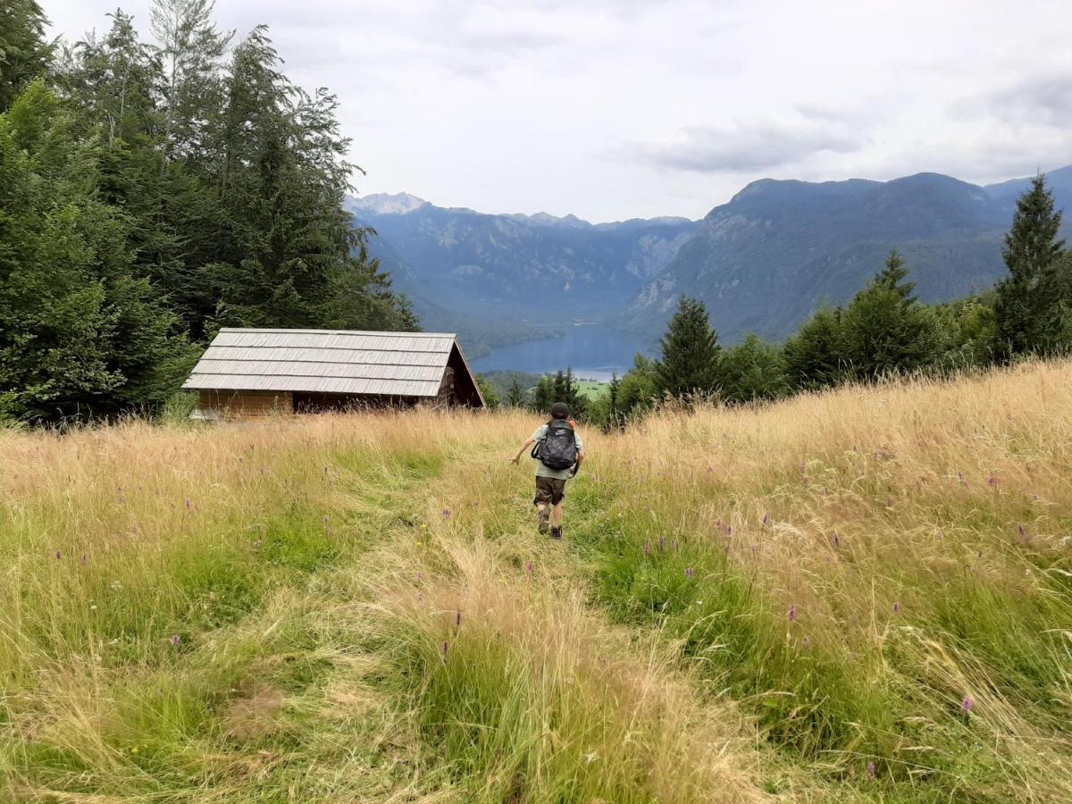 Chalet Pr Dobravc Bohinj Esterno foto