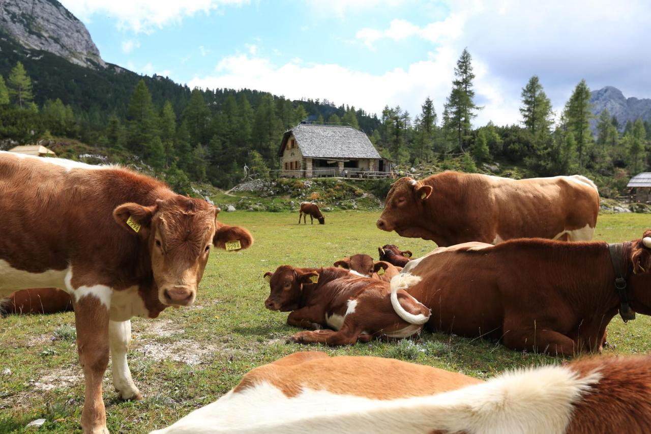 Chalet Pr Dobravc Bohinj Esterno foto